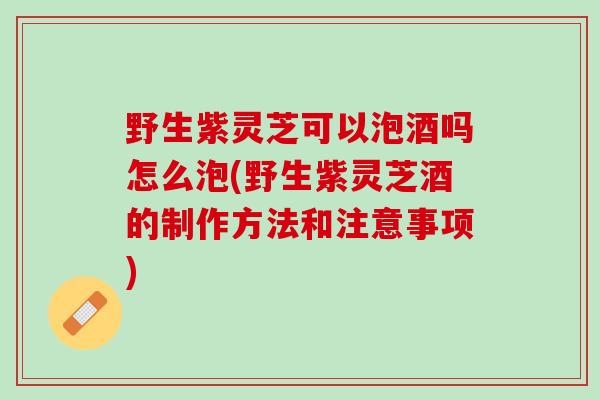 野生紫灵芝可以泡酒吗怎么泡(野生紫灵芝酒的制作方法和注意事项)