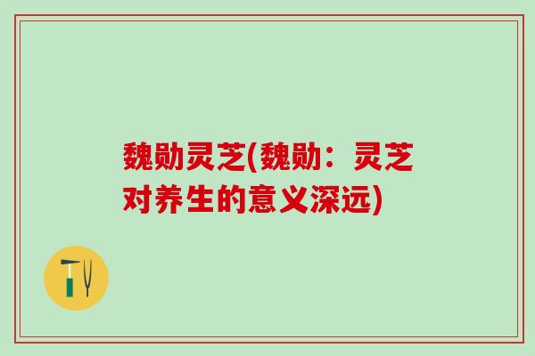 魏勋灵芝(魏勋：灵芝对养生的意义深远)