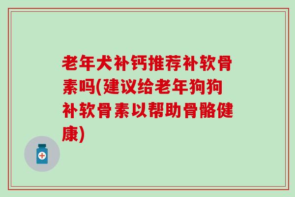 老年犬补钙推荐补软骨素吗(建议给老年狗狗补软骨素以帮助骨骼健康)