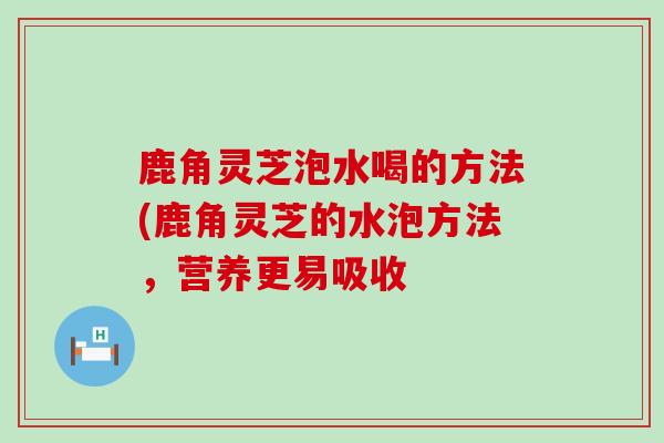 鹿角灵芝泡水喝的方法(鹿角灵芝的水泡方法，营养更易吸收