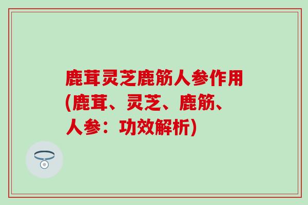 鹿茸灵芝鹿筋人参作用(鹿茸、灵芝、鹿筋、人参：功效解析)