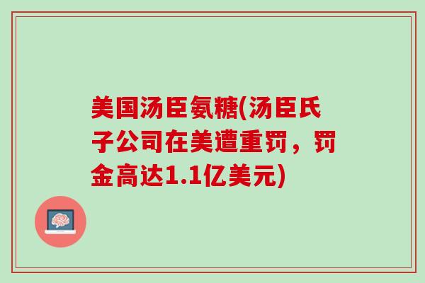 美国汤臣氨糖(汤臣氏子公司在美遭重罚，罚金高达1.1亿美元)