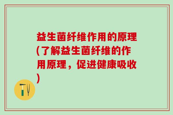 益生菌纤维作用的原理(了解益生菌纤维的作用原理，促进健康吸收)