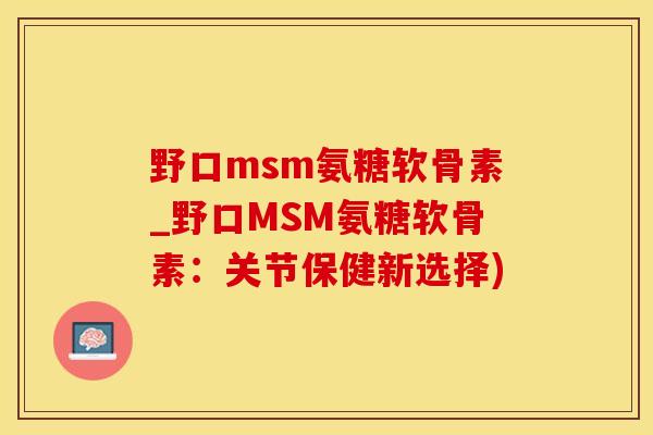 野口msm氨糖软骨素_野口MSM氨糖软骨素：关节保健新选择)