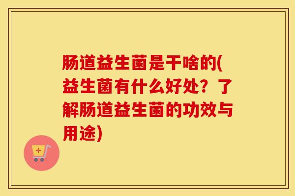 肠道益生菌是干啥的(益生菌有什么好处?了解肠道益生菌的功效与用途) 肠道益生菌是干啥的(益生菌有什么好处?了解肠道益生菌的功效与用途)