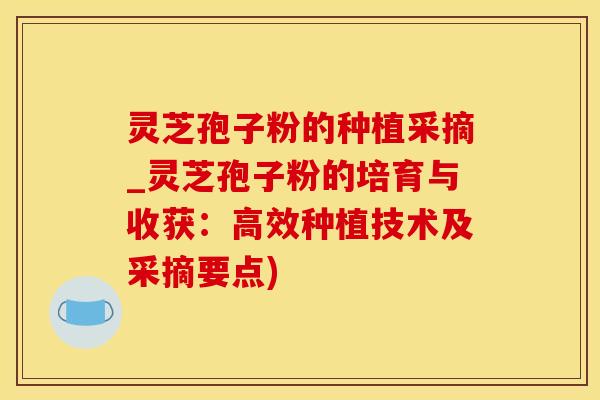 灵芝孢子粉的种植采摘_灵芝孢子粉的培育与收获：高效种植技术及采摘要点)
