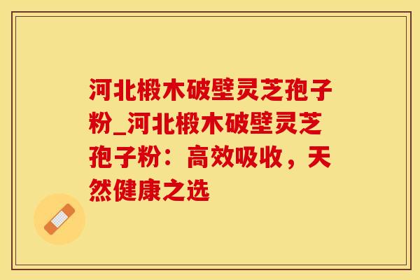 河北椴木破壁灵芝孢子粉_河北椴木破壁灵芝孢子粉：高效吸收，天然健康之选