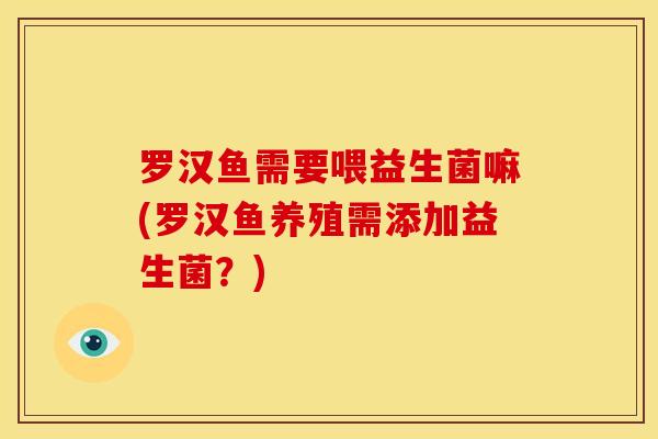 罗汉鱼需要喂益生菌嘛(罗汉鱼养殖需添加益生菌？)