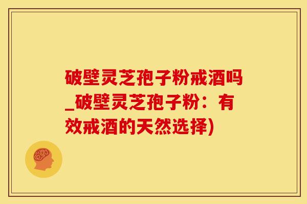 破壁灵芝孢子粉戒酒吗_破壁灵芝孢子粉：有效戒酒的天然选择)