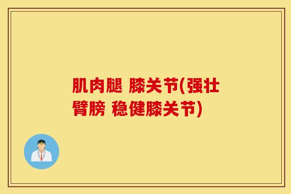 肌肉腿 膝关节(强壮臂膀 稳健膝关节)