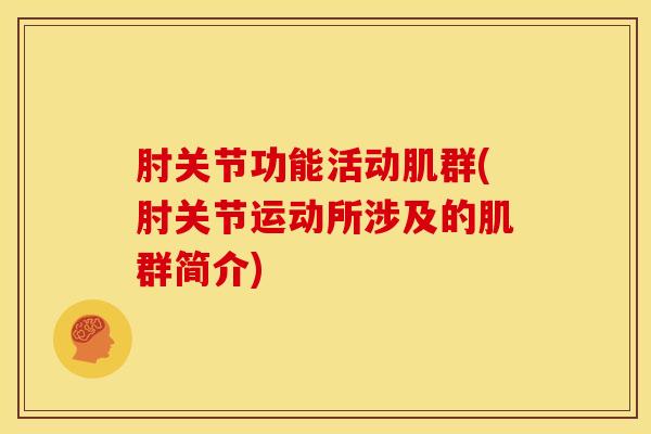 肘关节功能活动肌群(肘关节运动所涉及的肌群简介)