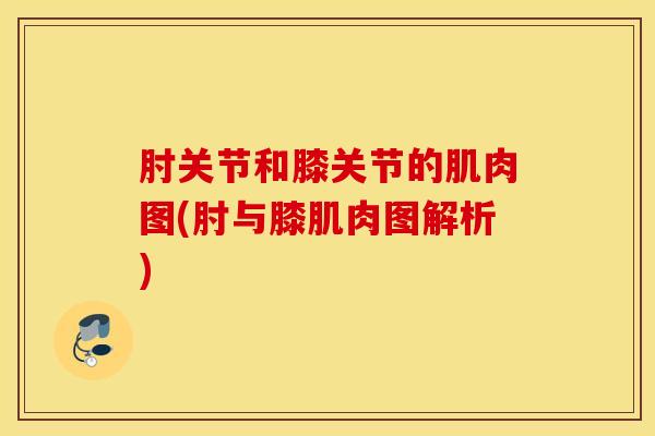 肘关节和膝关节的肌肉图(肘与膝肌肉图解析)