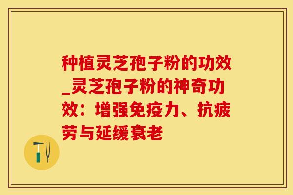 种植灵芝孢子粉的功效_灵芝孢子粉的神奇功效：增强免疫力、抗疲劳与延缓衰老