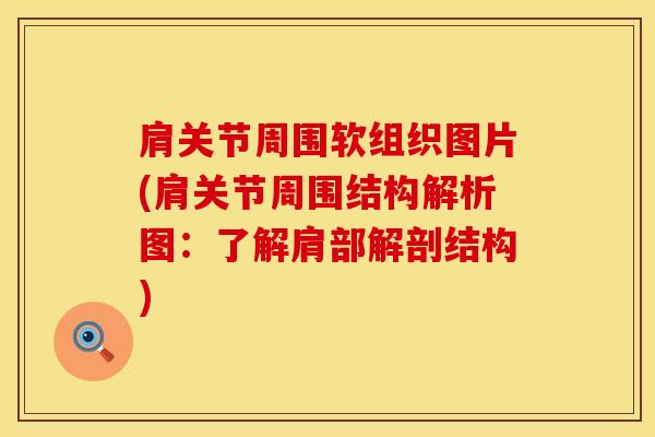肩关节周围软组织图片(肩关节周围结构解析图：了解肩部解剖结构)