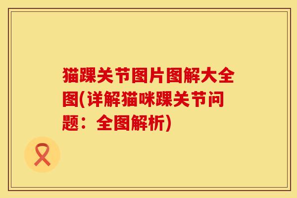 猫踝关节图片图解大全图(详解猫咪踝关节问题：全图解析)