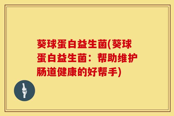 葵球蛋白益生菌(葵球蛋白益生菌：帮助维护肠道健康的好帮手)