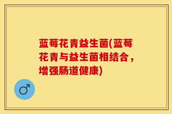 蓝莓花青益生菌(蓝莓花青与益生菌相结合，增强肠道健康)