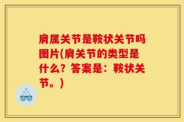 肩属关节是鞍状关节吗图片(肩关节的类型是什么？答案是：鞍状关节。)