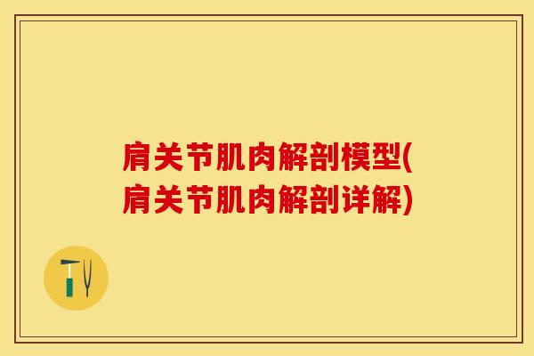 肩关节肌肉解剖模型(肩关节肌肉解剖详解)