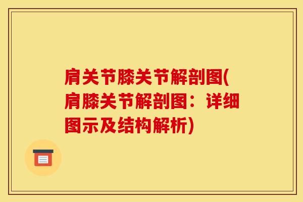 肩关节膝关节解剖图(肩膝关节解剖图：详细图示及结构解析)