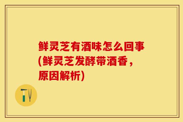 鲜灵芝有酒味怎么回事(鲜灵芝发酵带酒香，原因解析)