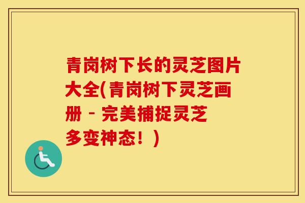 青岗树下长的灵芝图片大全(青岗树下灵芝画册 - 完美捕捉灵芝多变神态！)