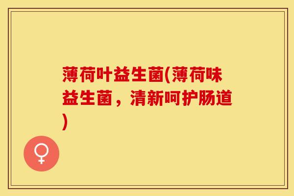 薄荷叶益生菌(薄荷味益生菌，清新呵护肠道)