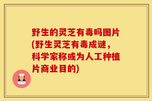 野生的灵芝有毒吗图片(野生灵芝有毒成谜，科学家称或为人工种植片商业目的)