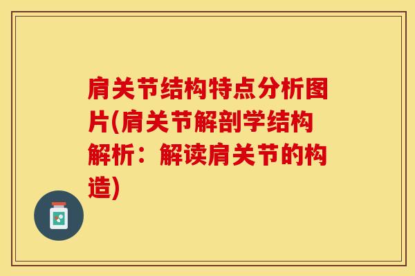 肩关节结构特点分析图片(肩关节解剖学结构解析：解读肩关节的构造)