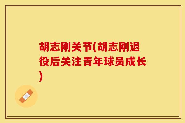 胡志刚关节(胡志刚退役后关注青年球员成长)