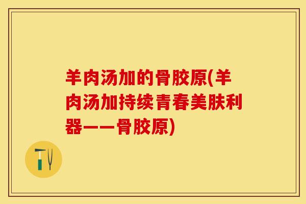 羊肉汤加的骨胶原(羊肉汤加持续青春美肤利器——骨胶原)