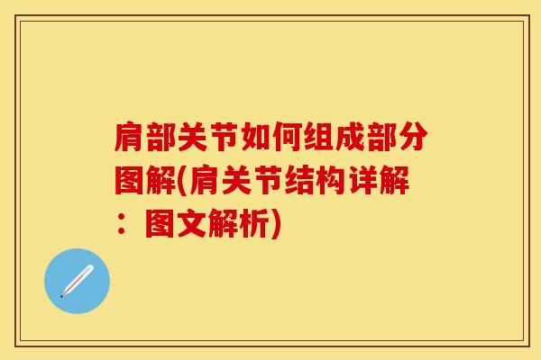 肩部关节如何组成部分图解(肩关节结构详解：图文解析)
