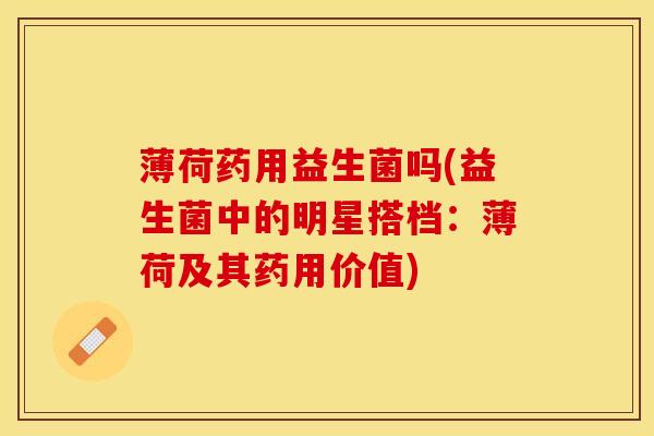 薄荷药用益生菌吗(益生菌中的明星搭档：薄荷及其药用价值)