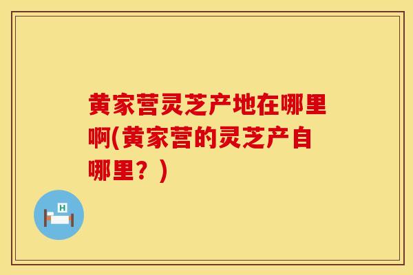 黄家营灵芝产地在哪里啊(黄家营的灵芝产自哪里？)