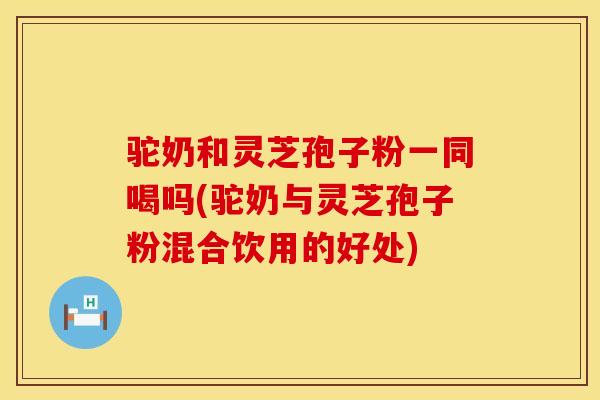 驼奶和灵芝孢子粉一同喝吗(驼奶与灵芝孢子粉混合饮用的好处)
