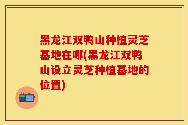 黑龙江双鸭山种植灵芝基地在哪(黑龙江双鸭山设立灵芝种植基地的位置)