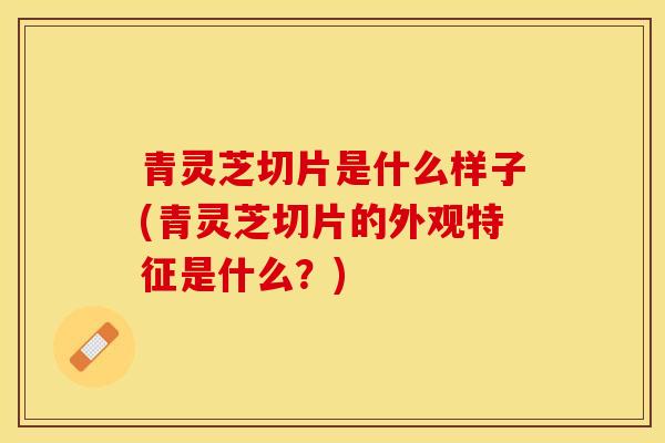 青灵芝切片是什么样子(青灵芝切片的外观特征是什么？)