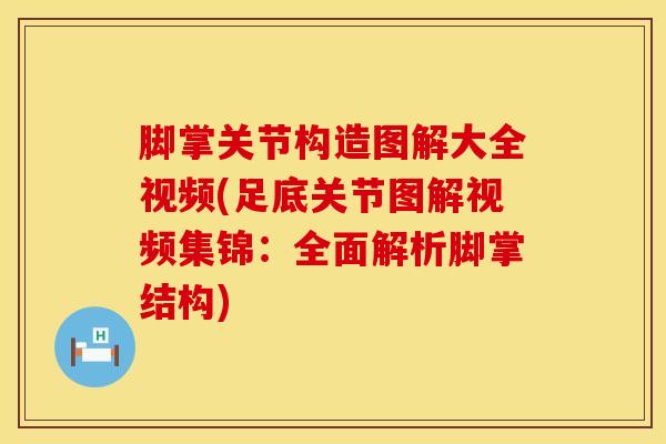 脚掌关节构造图解大全视频(足底关节图解视频集锦：全面解析脚掌结构)