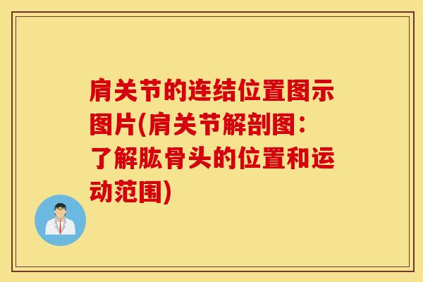 肩关节的连结位置图示图片(肩关节解剖图:了解肱骨头的位置和运动范围) 肩关节的连结位置图示图片(肩关节解剖图:了解肱骨头的位置和运动范围)