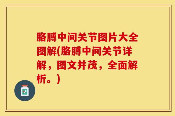 胳膊中间关节图片大全图解(胳膊中间关节详解，图文并茂，全面解析。)