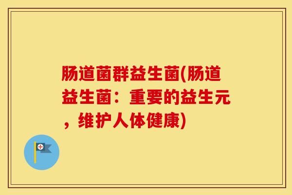 肠道菌群益生菌(肠道益生菌：重要的益生元，维护人体健康)