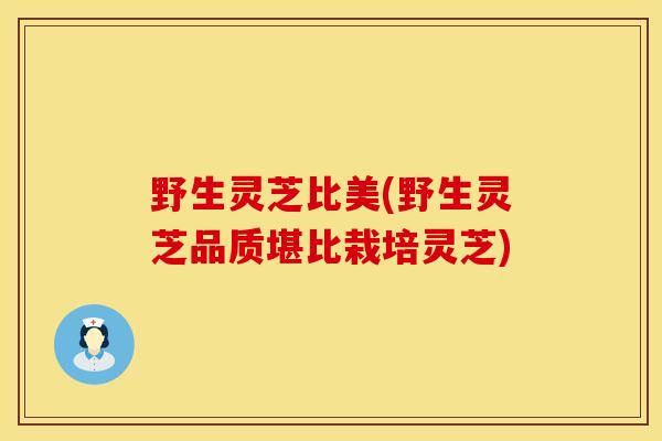野生灵芝比美(野生灵芝品质堪比栽培灵芝)