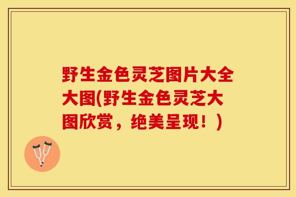 野生金色灵芝图片大全大图(野生金色灵芝大图欣赏，绝美呈现！)