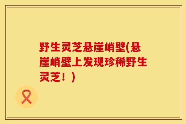 野生灵芝悬崖峭壁(悬崖峭壁上发现珍稀野生灵芝！)
