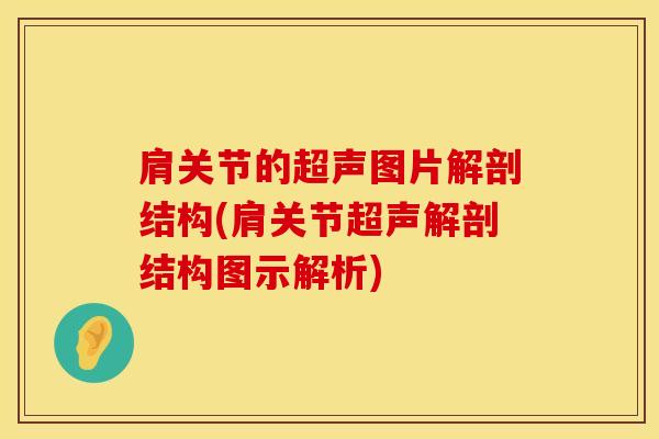 肩关节的超声图片解剖结构(肩关节超声解剖结构图示解析)