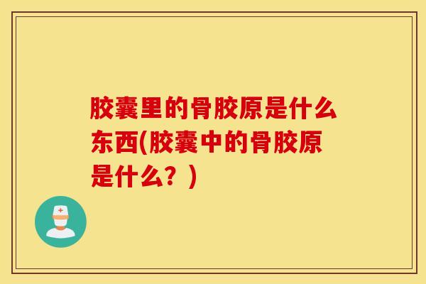 胶囊里的骨胶原是什么东西(胶囊中的骨胶原是什么？)