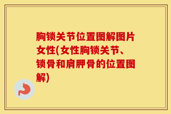 胸锁关节位置图解图片女性(女性胸锁关节、锁骨和肩胛骨的位置图解)