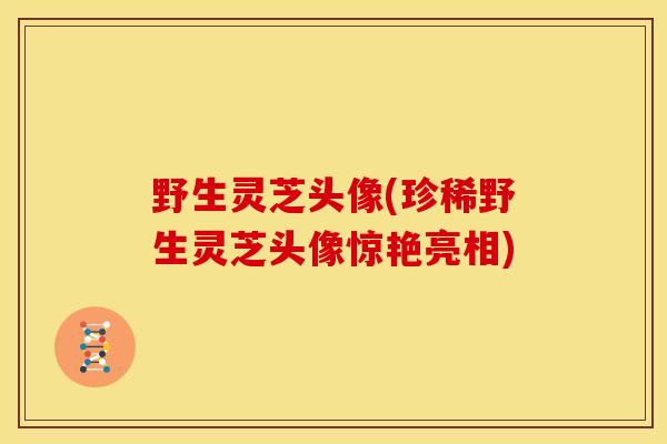 野生灵芝头像(珍稀野生灵芝头像惊艳亮相)