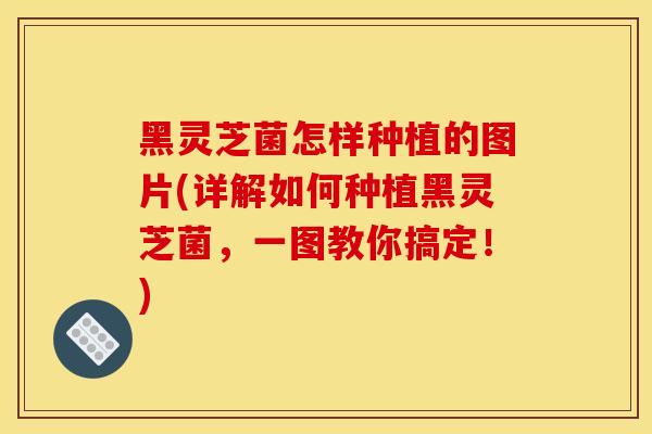 黑灵芝菌怎样种植的图片(详解如何种植黑灵芝菌，一图教你搞定！)