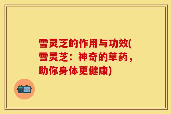 雪灵芝的作用与功效(雪灵芝：神奇的草药，助你身体更健康)